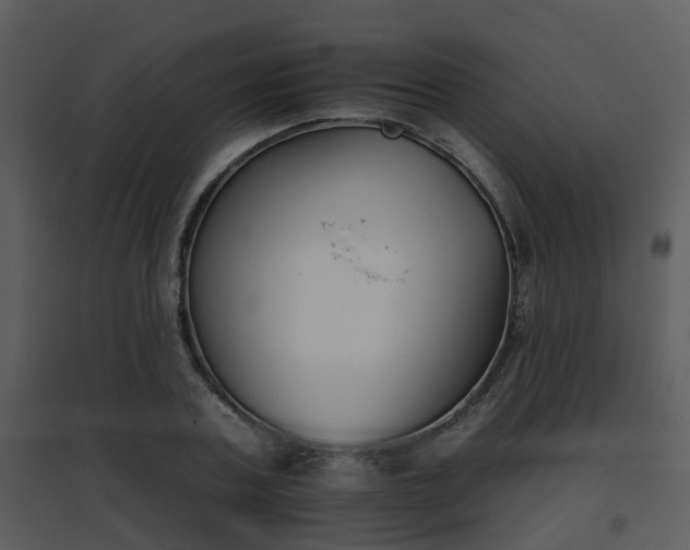 X0000095670787200801081038