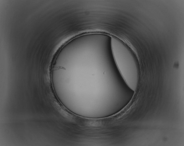 X0000095670789200801081038