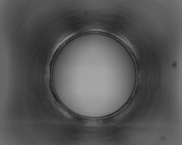 X0000095670790200801081038