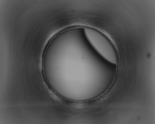 X0000095670791200801081038