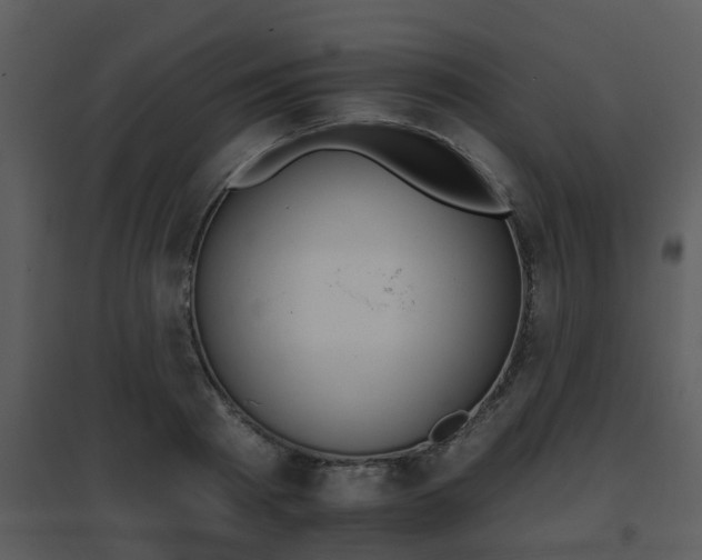 X0000095670793200801081038