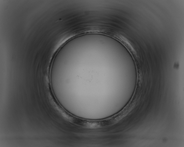 X0000095670794200801081038