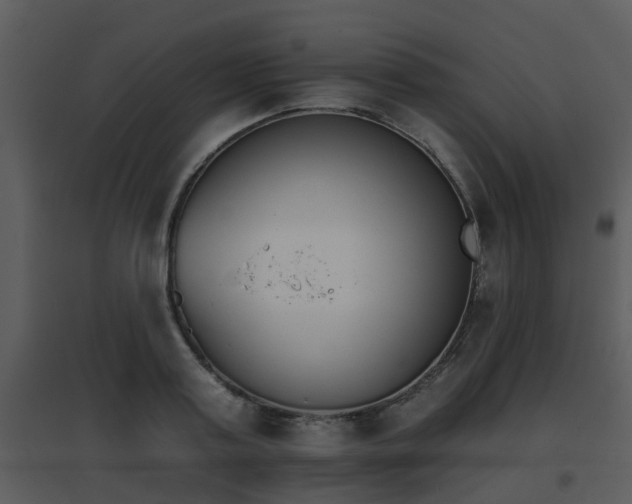 X0000095670795200801081038