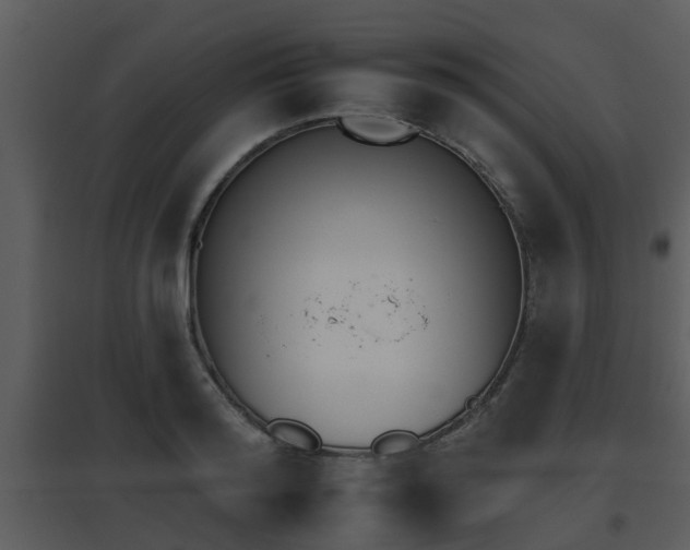 X0000095670796200801081038