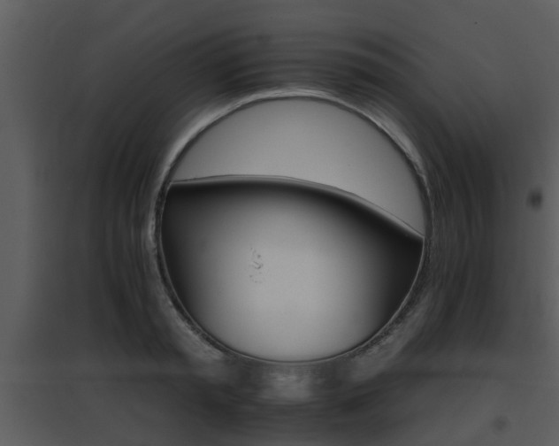 X0000095670797200801081038