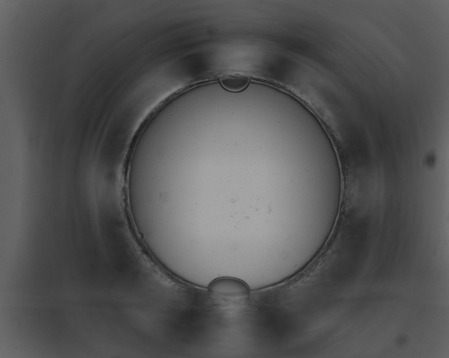 X0000095670798200801081038