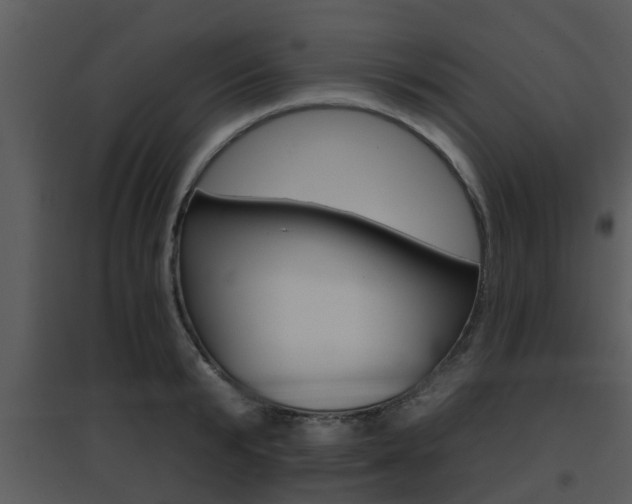 X0000095670799200801081038