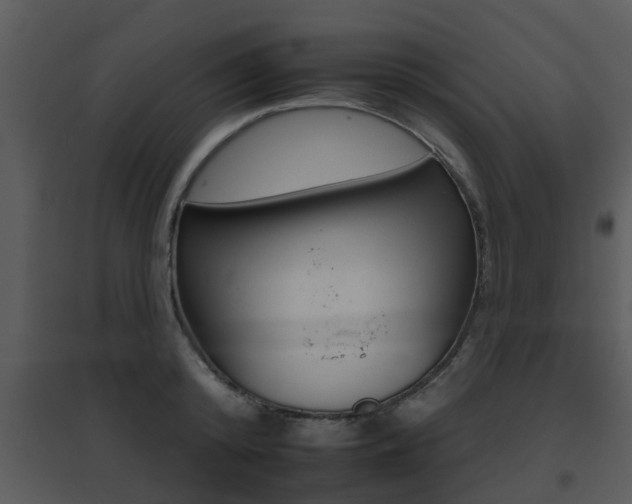 X0000095670800200801081038