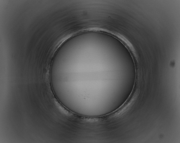 X0000095670801200801081038