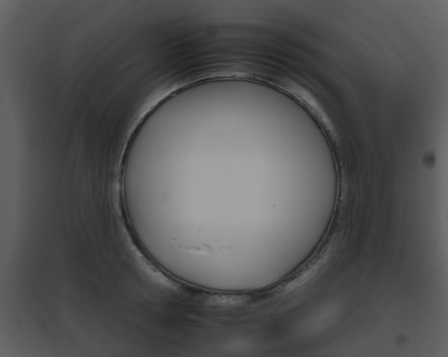 X0000095670802200801081038