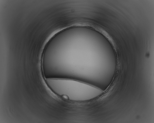 X0000095670803200801081038
