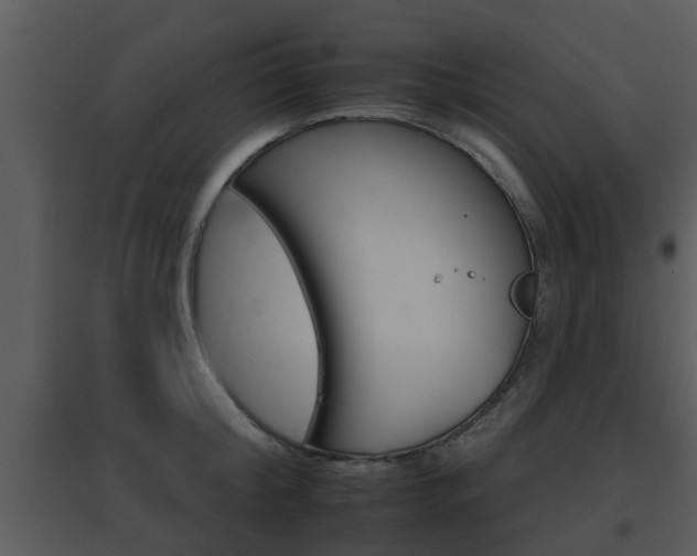 X0000095670804200801081038