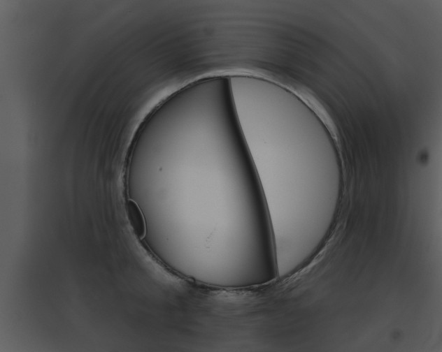 X0000095670805200801081038