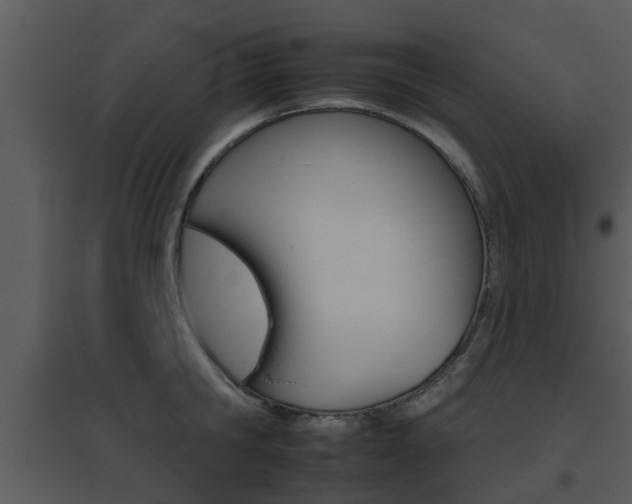 X0000095670806200801081038