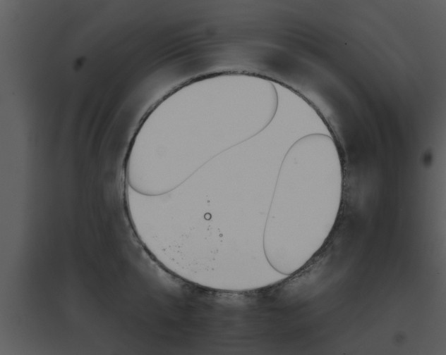 X0000095670807200801081038