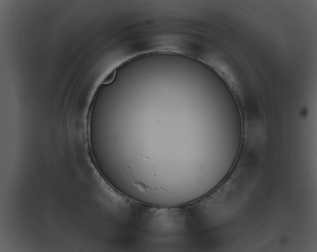 X0000095670808200801081038