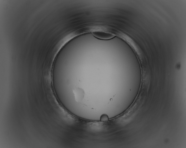 X0000095670810200801081038