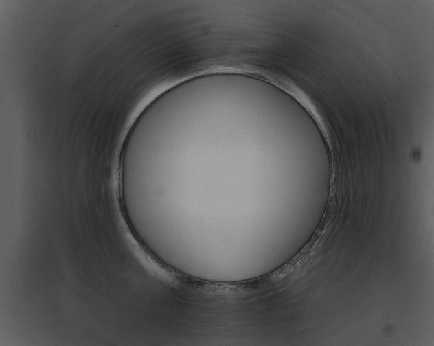 X0000095670811200801081038