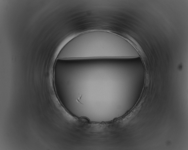 X0000095670812200801081038
