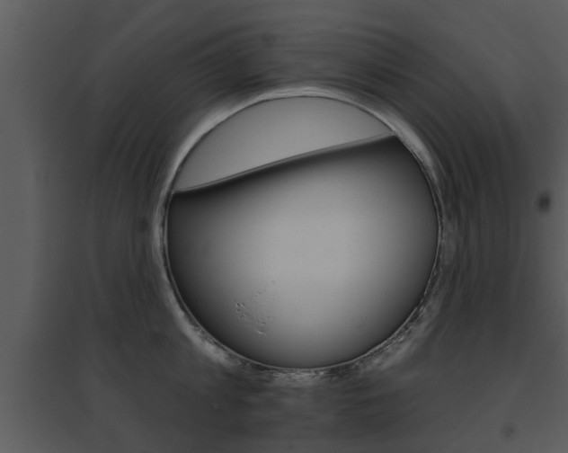 X0000095670813200801081038