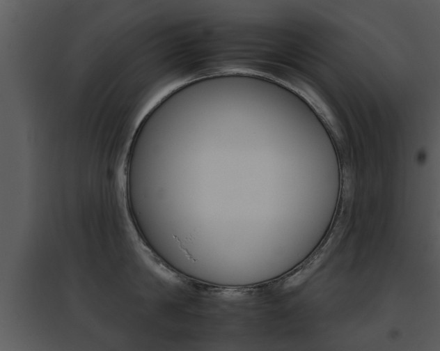 X0000095670814200801081038