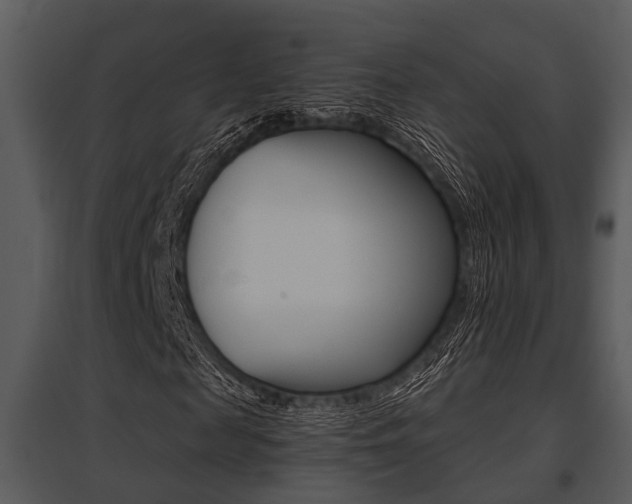 X0000095670817200801081037