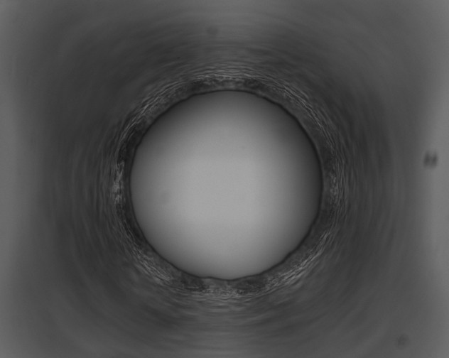 X0000095670818200801081037
