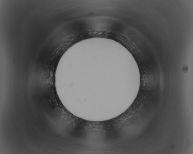 X0000095670820200801081037