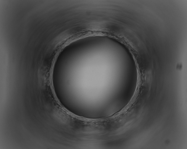 X0000095670821200801081037