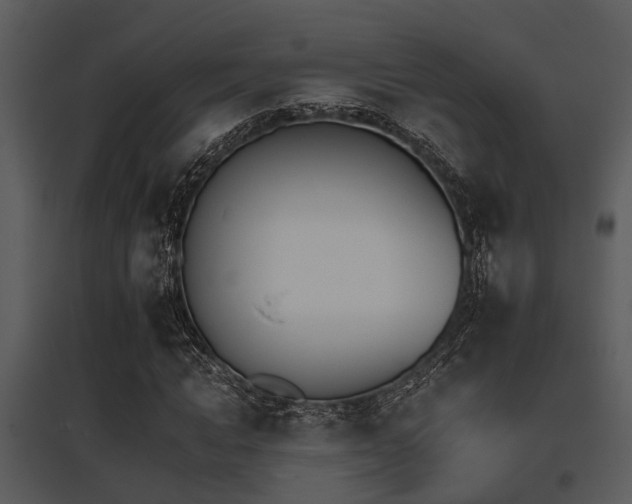 X0000095670822200801081037