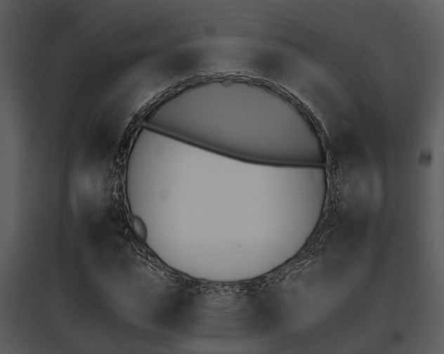 X0000095670823200801081037