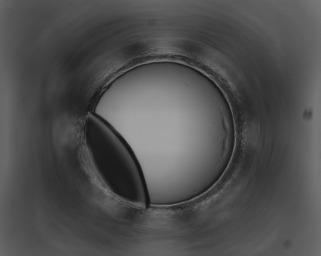 X0000095670825200801081037