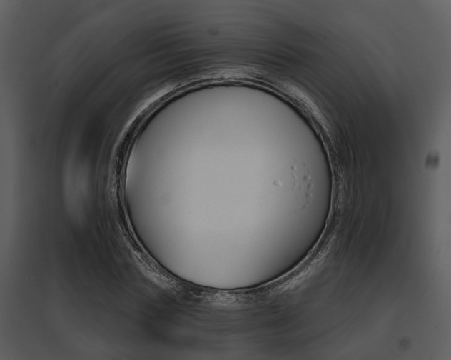 X0000095670827200801081037