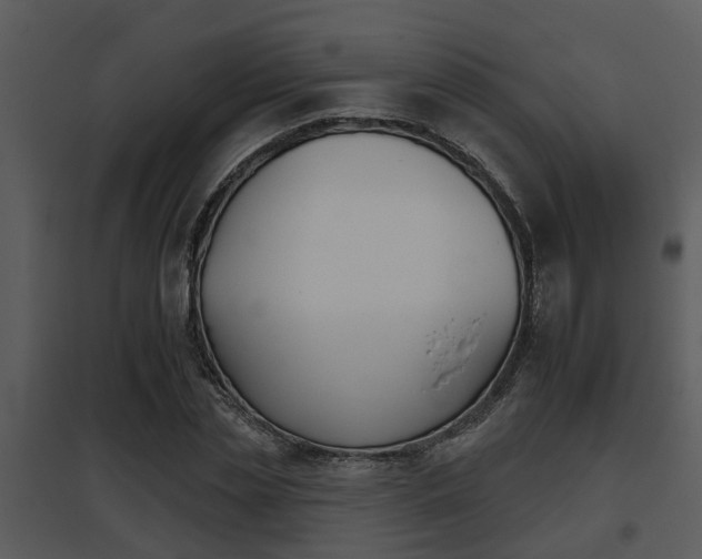 X0000095670829200801081037