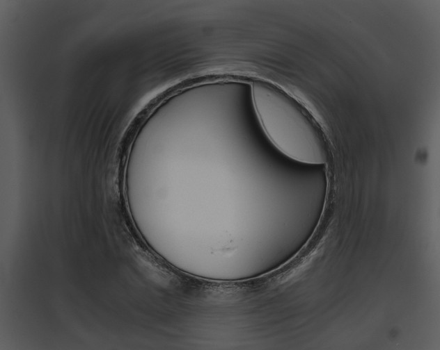 X0000095670830200801081037