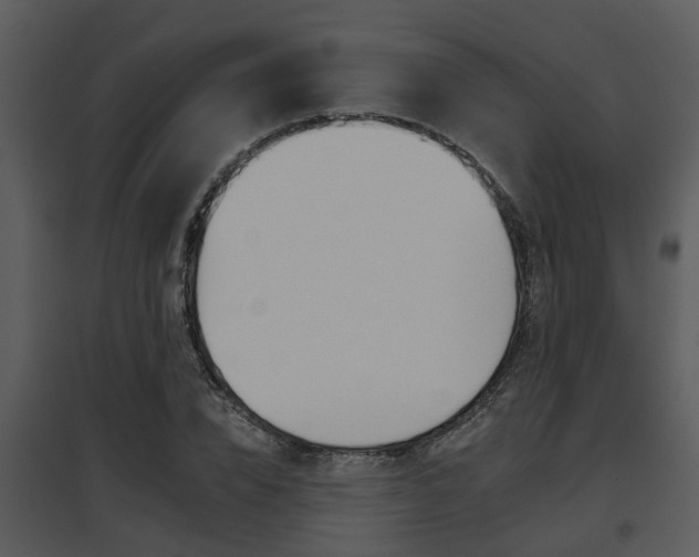 X0000095670832200801081037