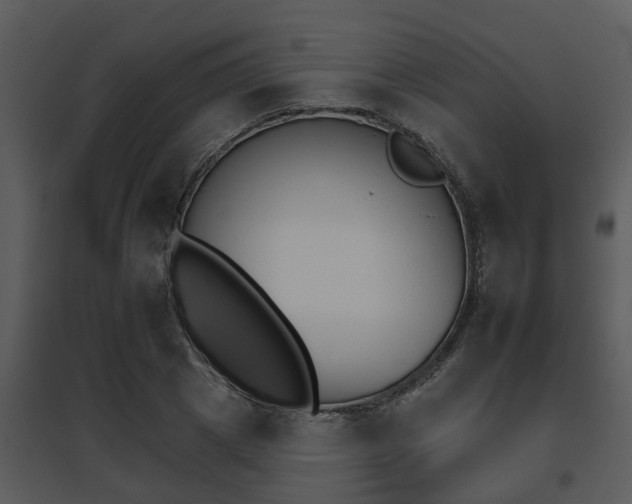 X0000095670833200801081037