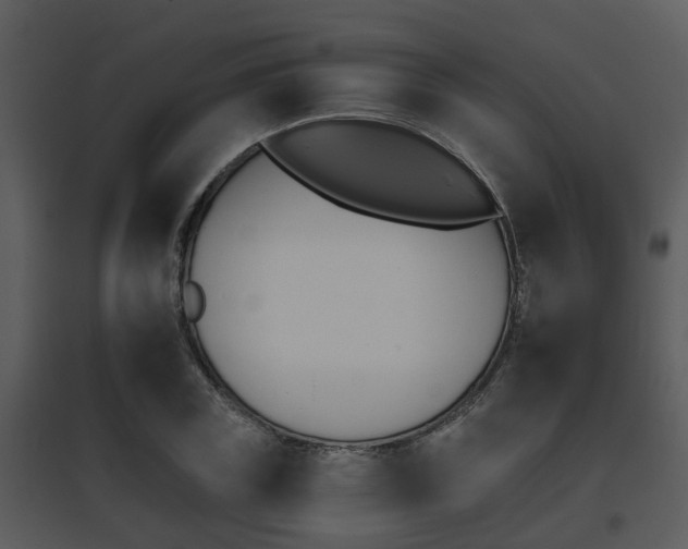 X0000095670835200801081037