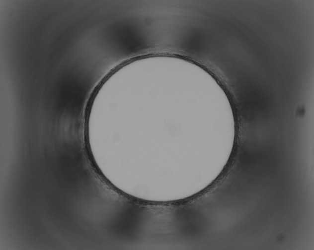 X0000095670836200801081037