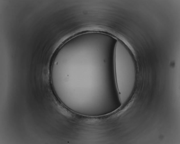 X0000095670837200801081037