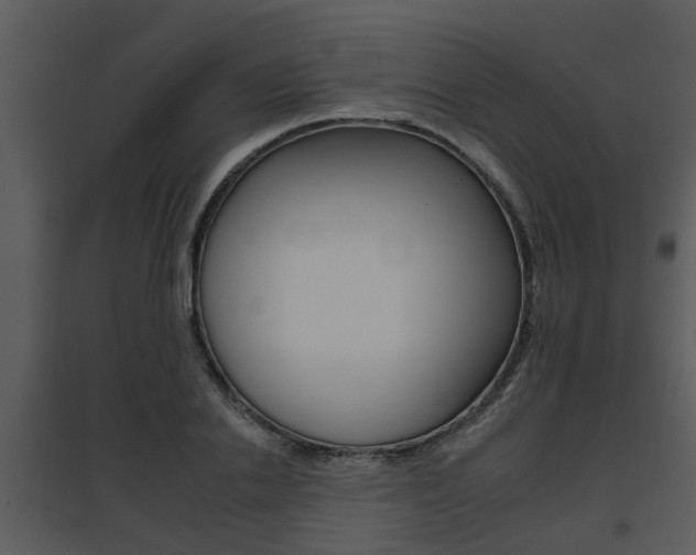 X0000095670838200801081037