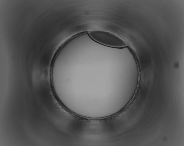 X0000095670839200801081037