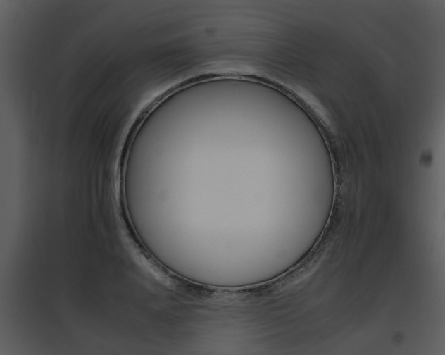 X0000095670840200801081037