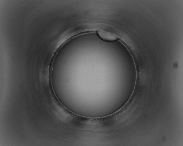 X0000095670842200801081037