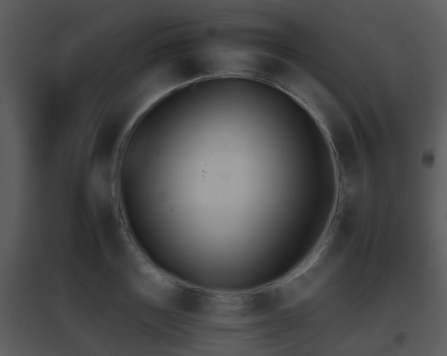 X0000095670843200801081037