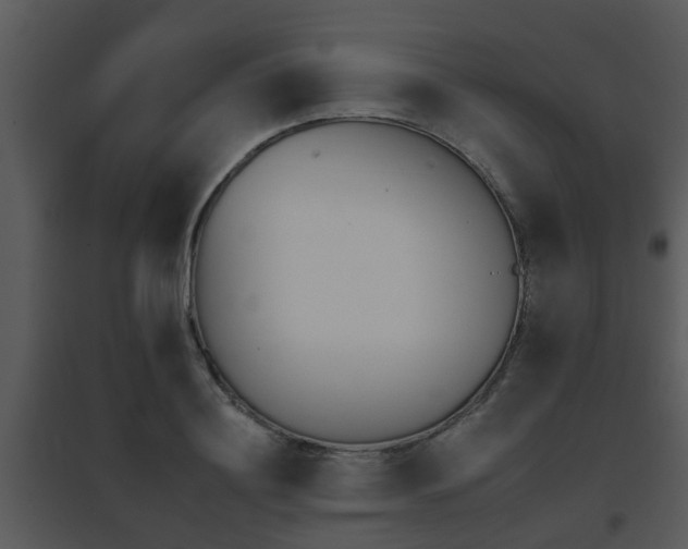 X0000095670844200801081037