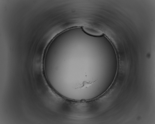 X0000095670845200801081037