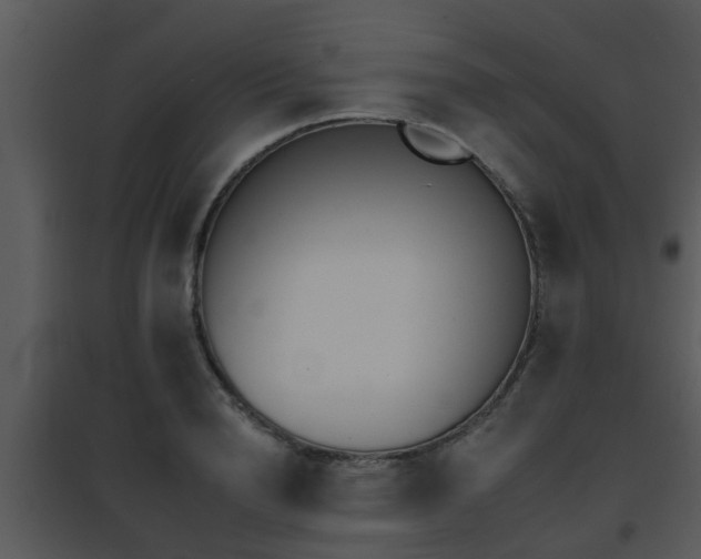 X0000095670846200801081037
