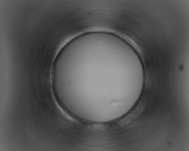 X0000095670847200801081037