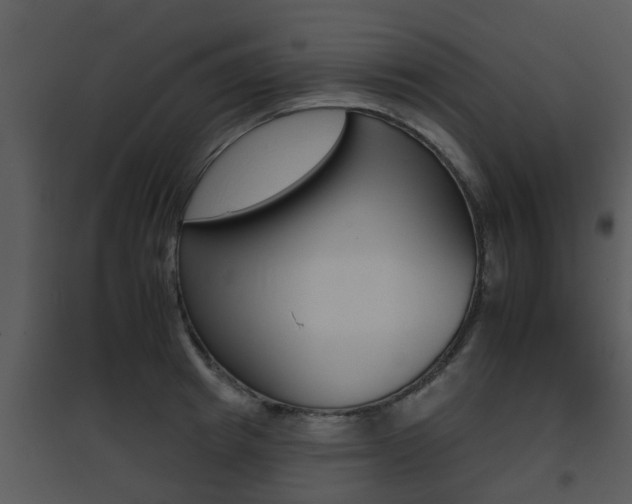 X0000095670849200801081037